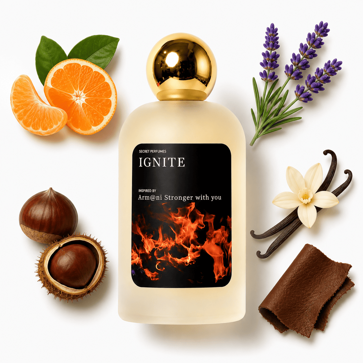 IGNITE SECRET OF @RM@NI STR0NGER WITH YOU