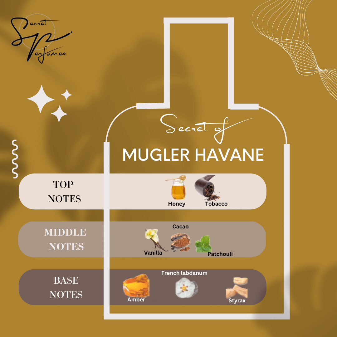 Thierry mugler pure havane discount 100ml