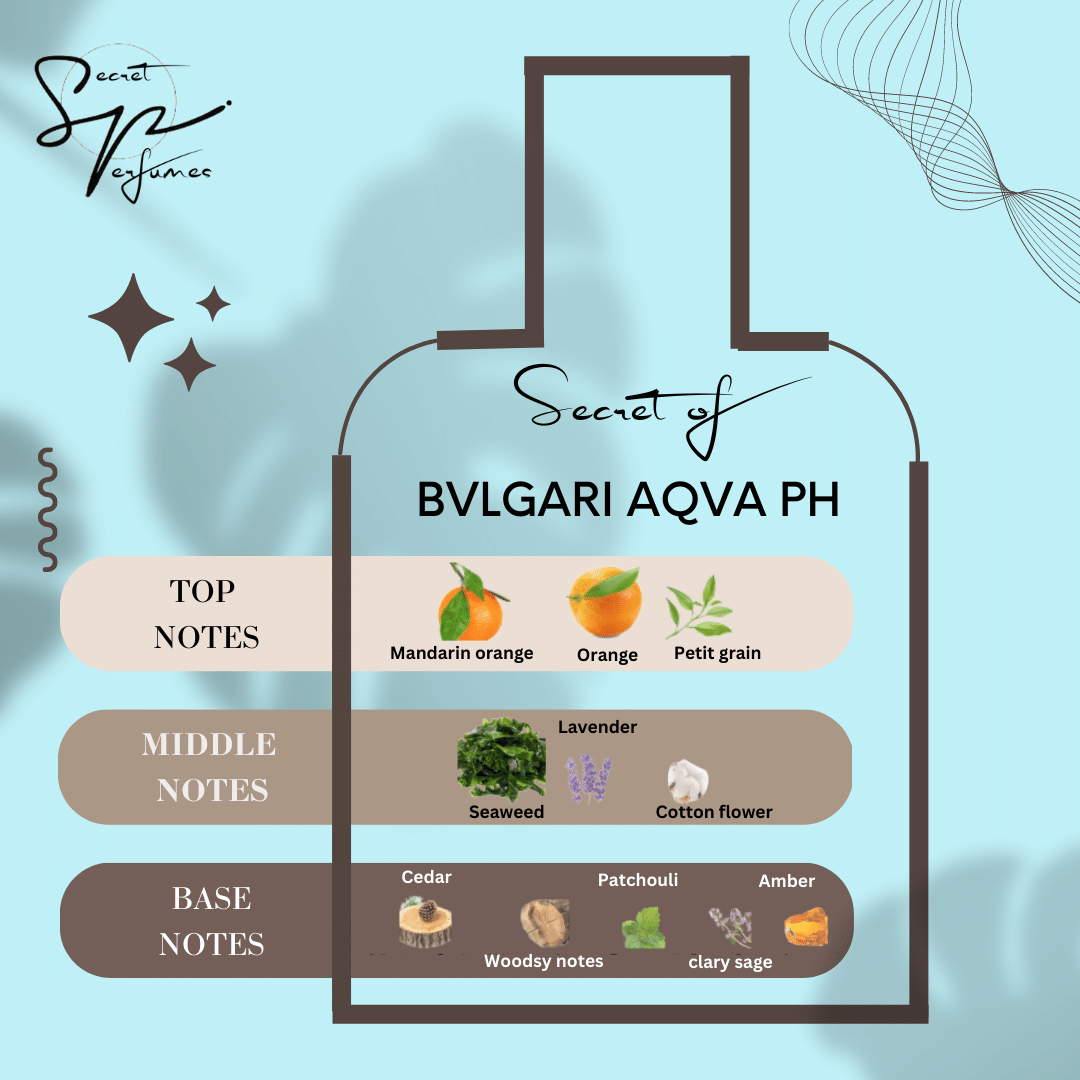 Bvlgari aqua pure home hotsell